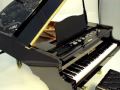 SEGATOYS - Grand Pianist - 世界最小鋼琴3