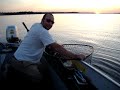 Big momma Muskie (Musky)