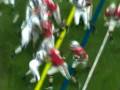 Chris Beanie Wells Stiff Arm Video