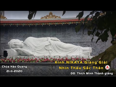 Kinh NIKAYA Giảng Giải – Nhìn Thấu Sắc Thân 1A