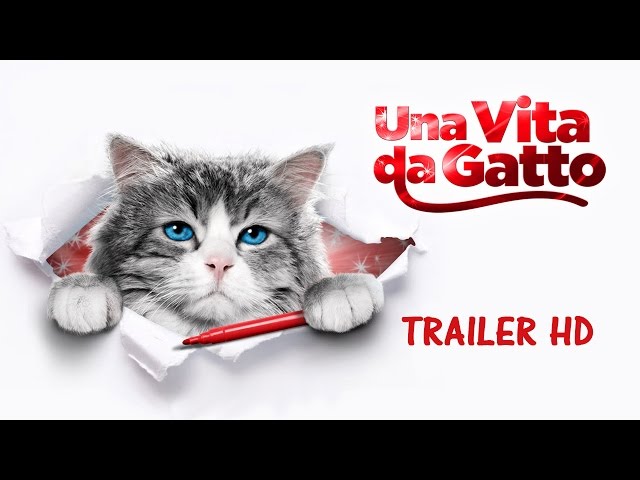 Anteprima Immagine Trailer Una vita da gatto, trailer italiano