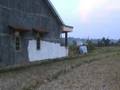 videos de sodong semarang