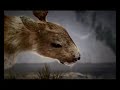 Subliminar - Aqueimento Global