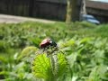 frankie-goes-to-hollywood-watching-the-wildlife-03.html
