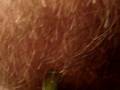 videos de You Cant Guess what this is, Not What you think UP CLOSE