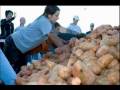 Students Team Up to Fight Hunger and Circle K