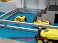 Japanese Baby Seal Robot (iREX 2009)