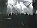 roa live at the docks