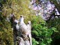 These eagles are on gateposts in a village in Northamptonshire. One in the light, one in shade.