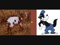 Los 7 cabritillos y el lobo Los 7 cabritillos y el lobo