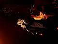 The Divine Comedy - Diva Lady