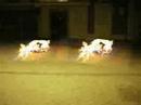 Roner Vs. Koer