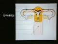 Educación sexual un término usado para describir la educación acerca de la sexualidad humana, el aparato reproductor femenino y masculino, la orientación sexual, las relaciones sexuales, el uso de anticonceptivos, el sexo seguro, la reproducción y otros aspectos de la sexualidad humana. Las mejores fuentes de educación sexual suelen ser los padres.. Los muchachos que no reciben información adecuada de estas fuentes frecuentemente llenan ese vacío con consejos inadecuados que oyen de sus ...