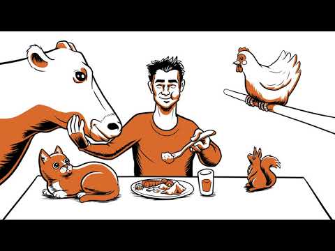 動画
