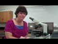 How to use a microscope and oil immersion