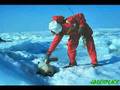 Greenpeace....Actions for the World