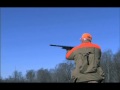 Benelli\ Benelli\