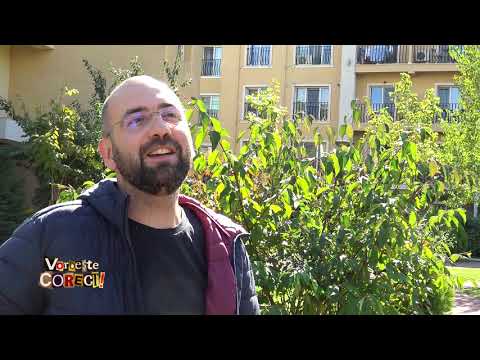 Vorbeşte corect! - invitat comediantul Viorel Dragu: cu umor, despre limba română (@TVR1)