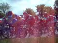 Cycling Bollenstreek