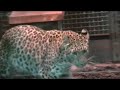 Ménagerie du Jardin des Plantes de Paris