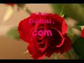 dariush ♪♡ aroosak mona shiraz shabe aftabi kojast? داریوش