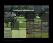 Severiano Ballesteros Motivacion y Entrenamiento