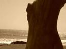 navarro surf navarro surf