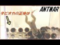 YouTube 動画ポップアップ再生