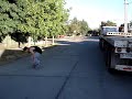 parkour spot