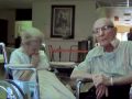  - MovieZen Video