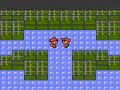 the viridian's gym leader is blue, also known as gary, the grandson of prof. oak. he is the most powerful trainer in kanto after red, that defeat him when he was league champ. blue hate red for that. he have a pidgeot, rhydon, alakazam, exeggutor, gyarados and arcanine. if you win, you'll earn the earth badge. enjoy it!