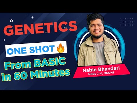 Genetics All CONCEPTs🔥⚡️ In Just 60 Minutes ✅ / For STETH2.0 Check Description🌸