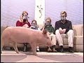 Air Fantastic Piggy Commercial
