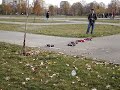 Parcul Tineretului 19 Noiembrie 2006 Manele-Gratis.net