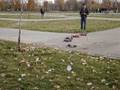 videos de Parcul Tineretului 19 Noiembrie 2006