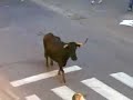 NAVARRETE NAVARRETE
