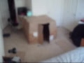 forts 0001