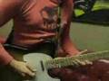 FPE-TV Guitarist Jeff Kollman Part Two