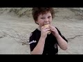 KISHNER MOSQUITO-EL HAMBRE ATACA
