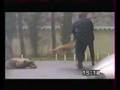 Police Doges