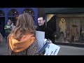 Protesting Against The Fur Trade