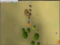 Runescape hunting guide, part 7 Net traps