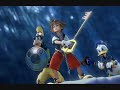 Kingdom Hearts - Black and Gold
