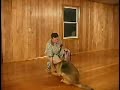 How to train your dog to sit, down and stand