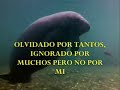 Cancion del misionero