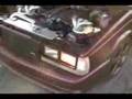 Nice Family-Volvo