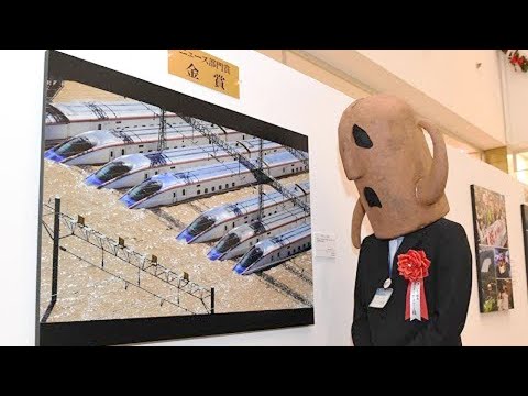 動画
