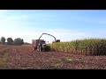 hillbex farms!!!!!!!
