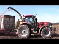 hillbex farms!!!!!!!