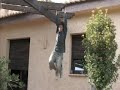 JumpingJack Parkour pjwvideo